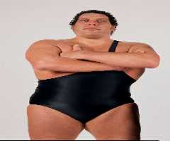 Andre the Giant