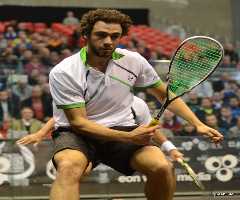 Ramy Ashour