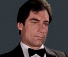 Timothy Dalton