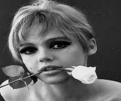 Edie Sedgwick