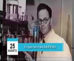 Hans Adolf Krebs