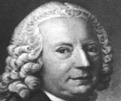 Johann Bernoulli
