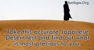 JAPANESE DESERT TEST