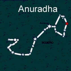 anuradha birthstar
