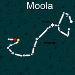 moola