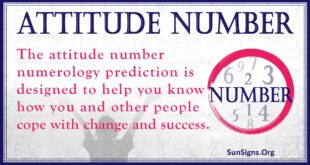 Attitude Number