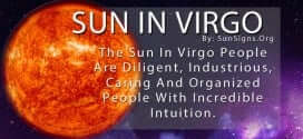 The Sun In Virgo