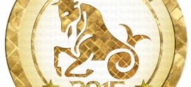 capricorn 2015 Horoscope: An Overview – A Look at the Year Ahead, Love, Career, Finance, Health, Family, Travel, capricorn Monthly Horoscopes
