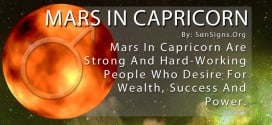 The Mars In Capricorn