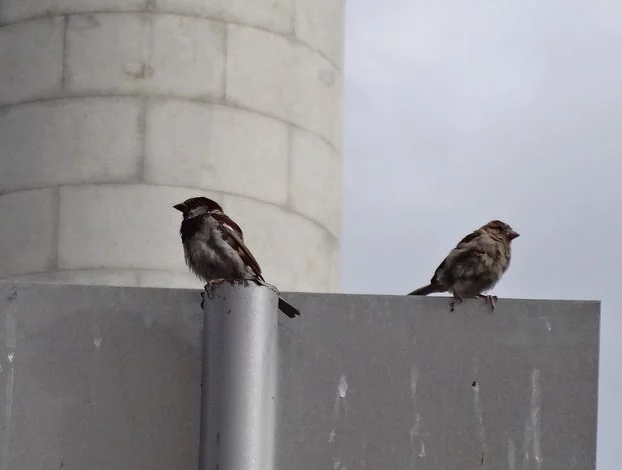 angry-couple