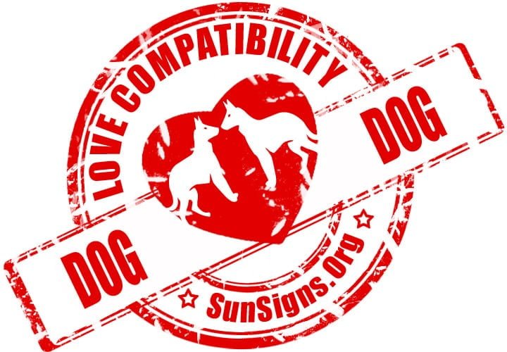 Chinese Dog Dog Compatibility. The dog dog relationship can be fantastic in such a way that they quite simply are incapable of being with anyone else