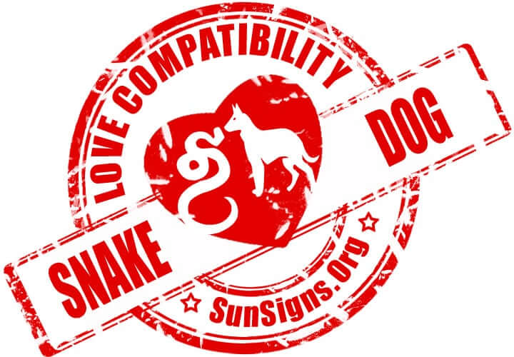 Chinese Snake Dog Compatibility. Chinese zodiac compatibility predicts that the signs of the snake and dog will be able to form a content relationship.