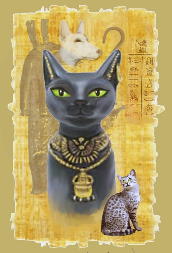 People born under this Egyptian horoscope sign Bastet are always searching for balance and peace.