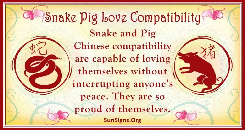 snake pig compatibility