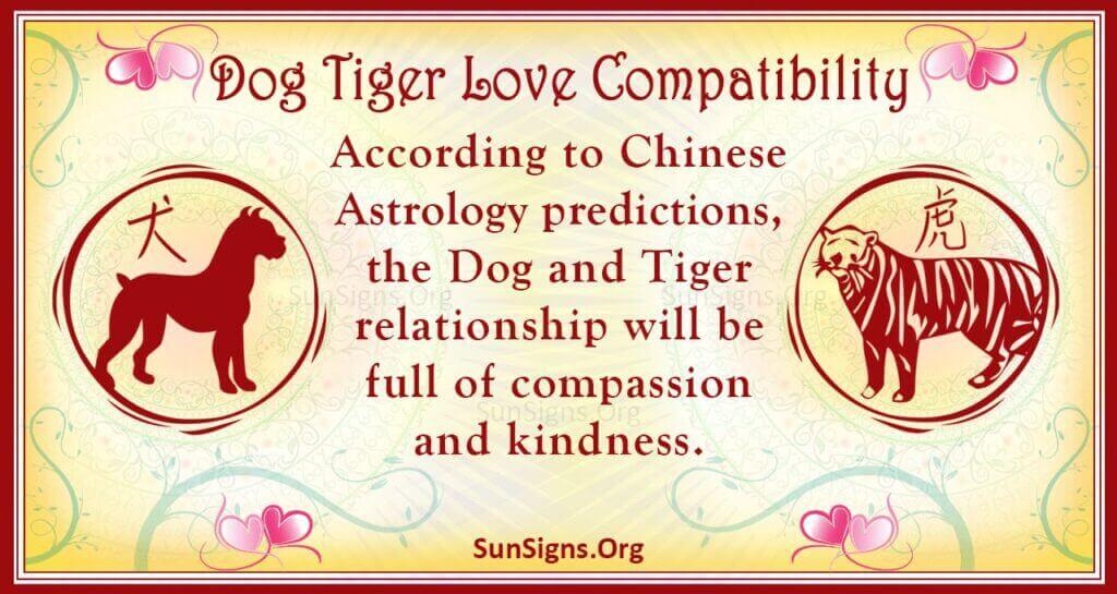 dog tiger compatibility