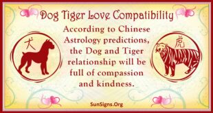 dog tiger compatibility