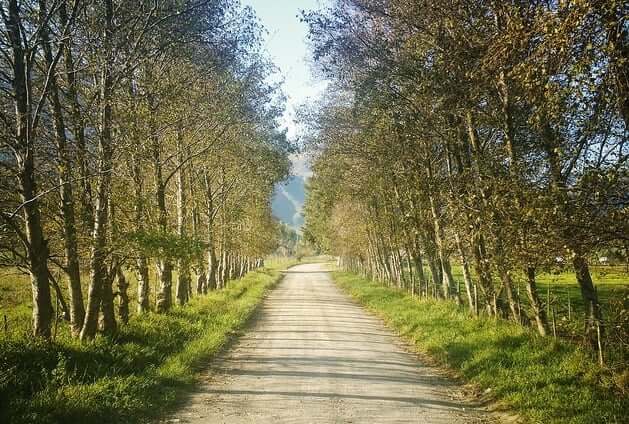 Life Path Periods In Numerology