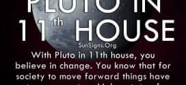 The pluto in eleventh house