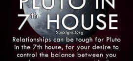 The pluto in seventh house