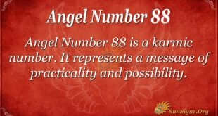 Angel Number 88