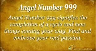 333 Angel Number Sun Signs