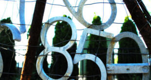 vedic name numerology