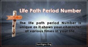 Life Path Period Number