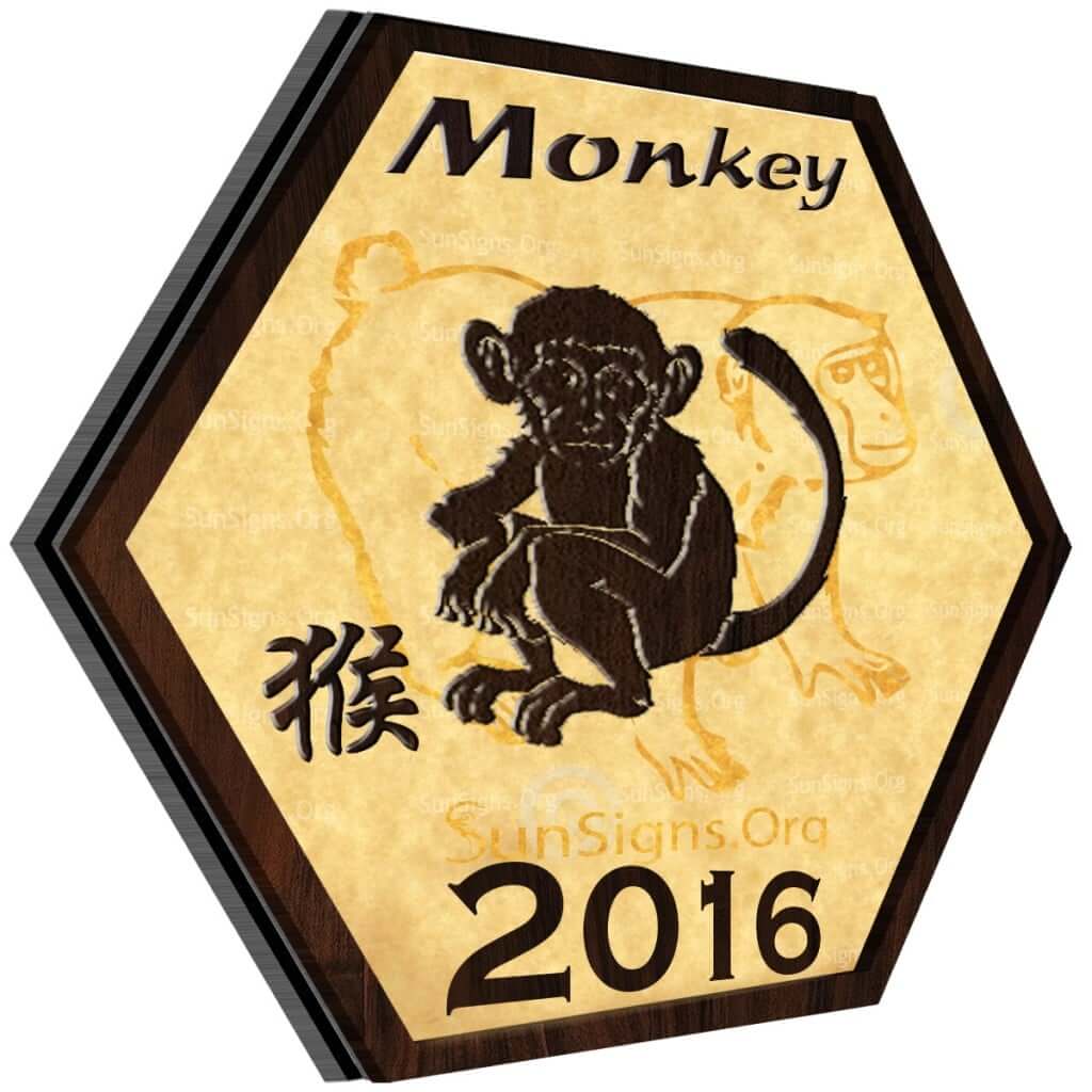 Monkey Horoscope 2016 Predictions For Love, Finance, Career, Health And Family
