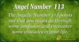 angel number 113