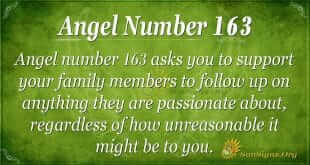 angel number 163