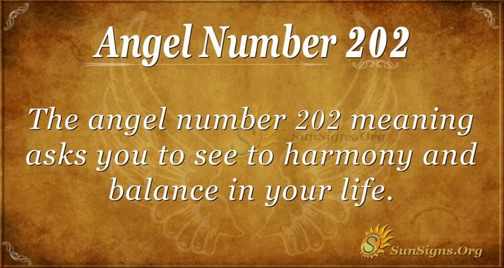 angel number 202