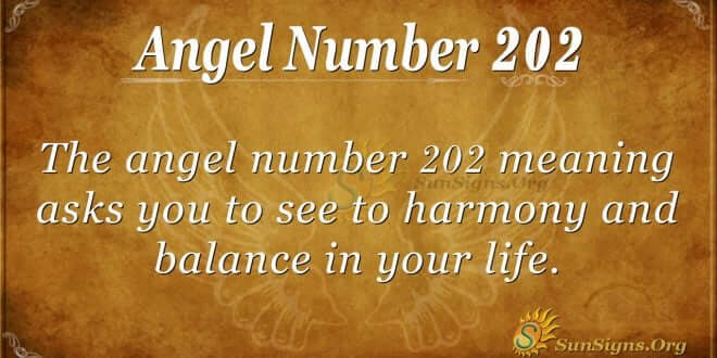 angel number 202