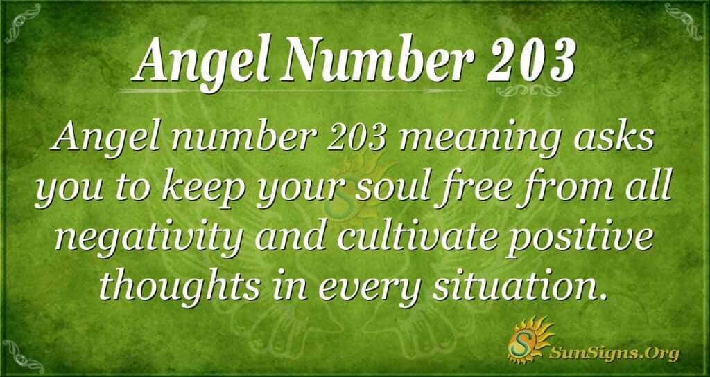 angel number 203