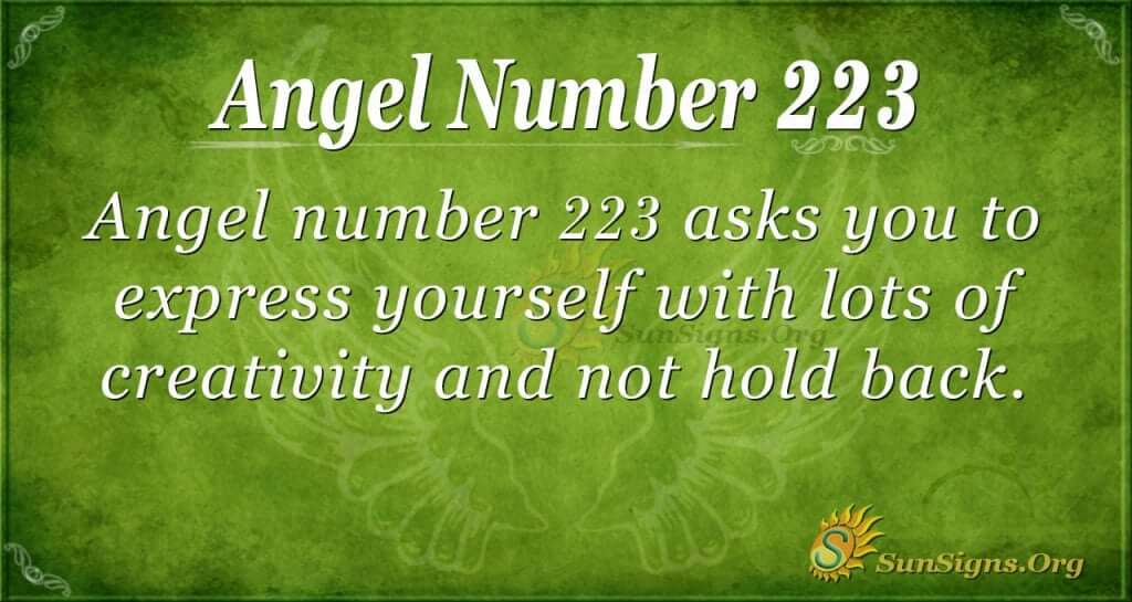 angel number 223