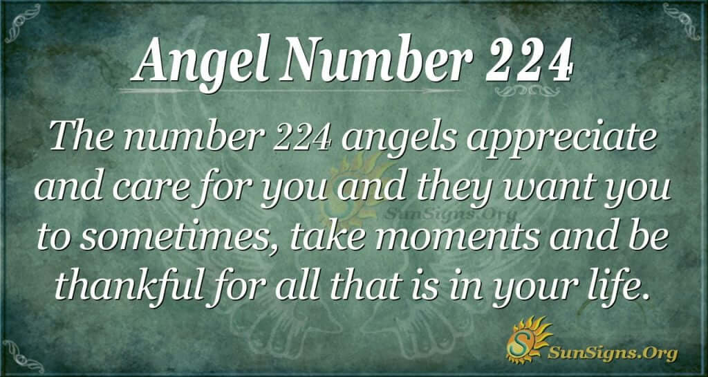 angel number 224