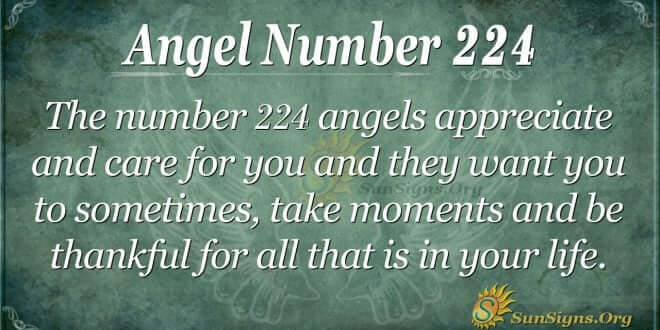 angel number 224