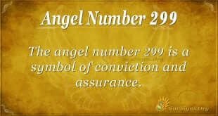 Angel Number 299
