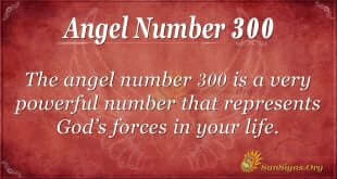 Angel Number 300