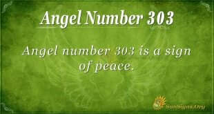 Angel Number 303