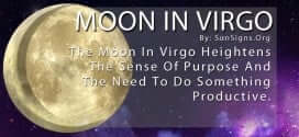The Moon In Virgo