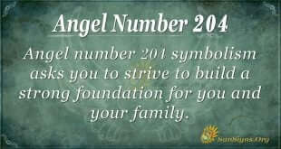 angel number 204