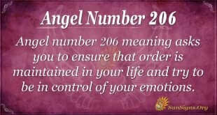 angel number 206