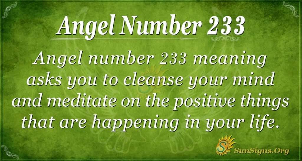 angel number 233