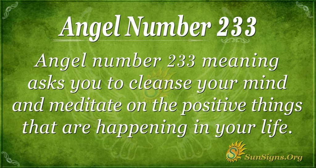 Número de anjo 233