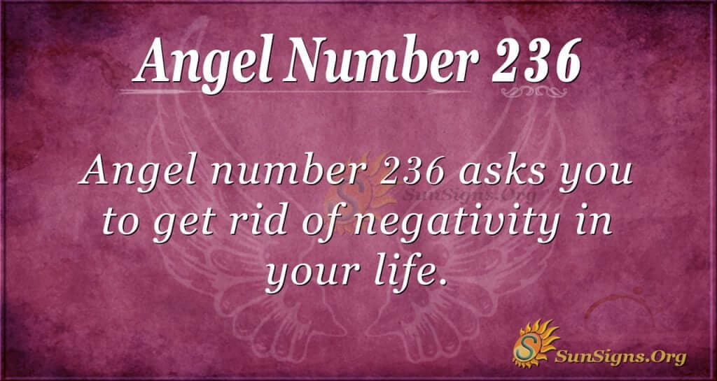 angel number 236
