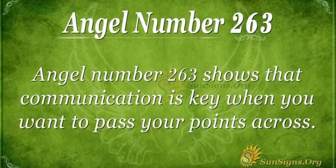 Angel Number 263