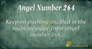 Angel Number 264