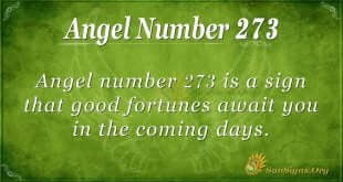 Angel Number 273
