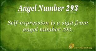 Angel Number 293