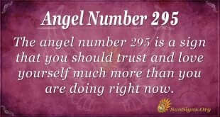 Angel Number 295